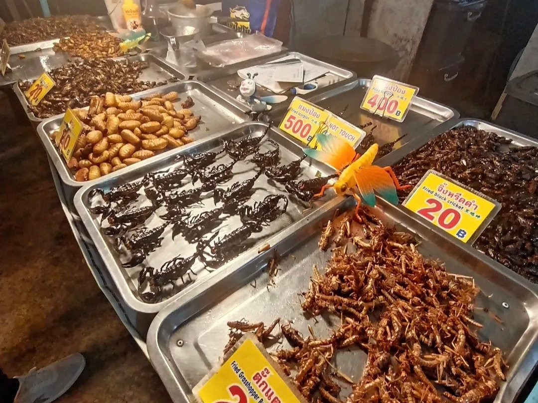 集装箱夜市-普吉镇必去景点