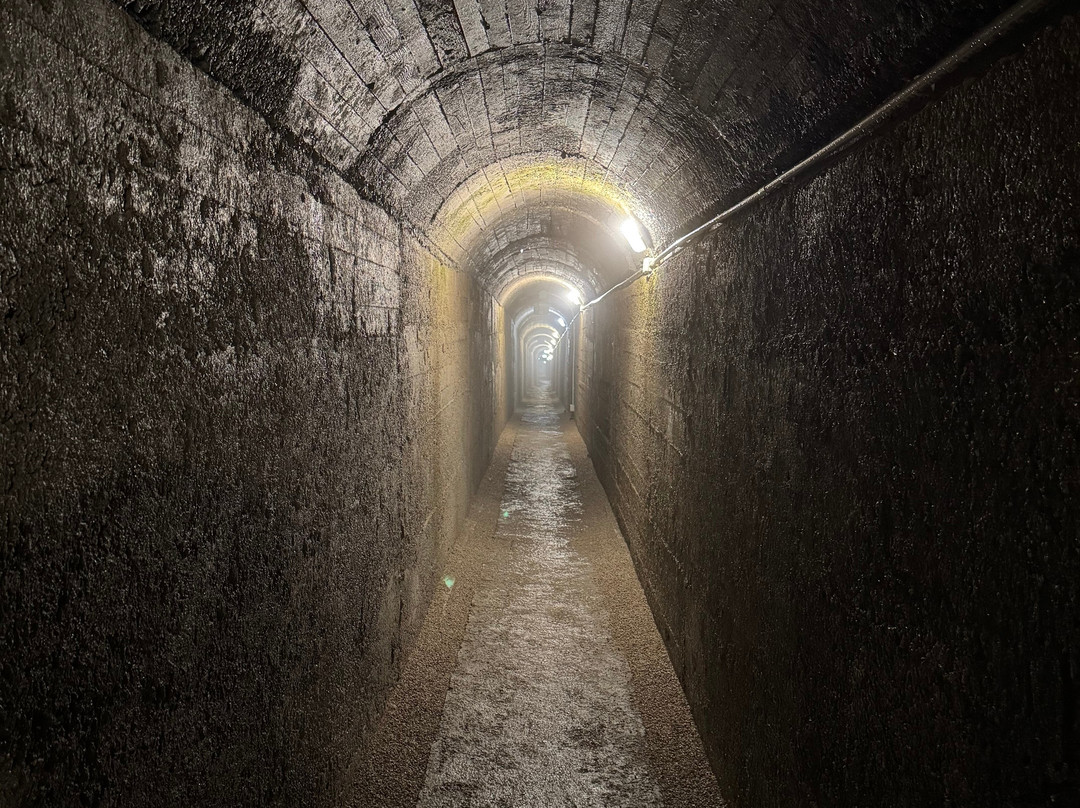Il Bunker Del Passo Palade-拉纳必去景点