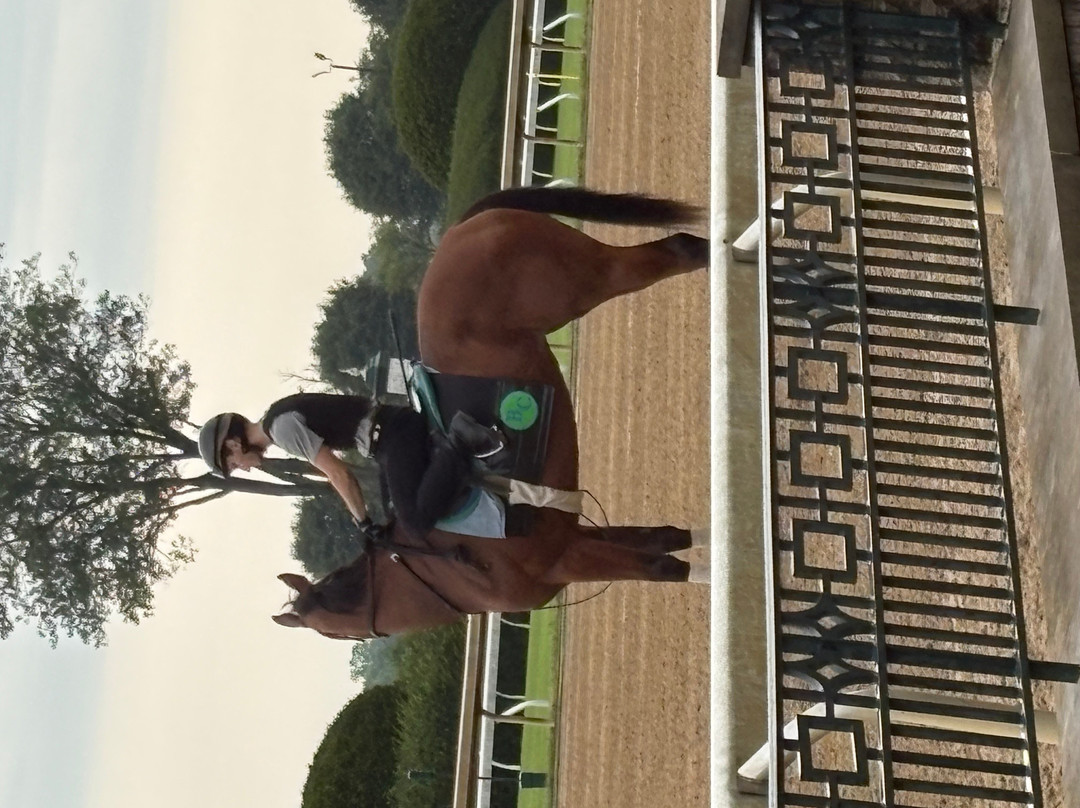Keeneland-列克星敦必去景点