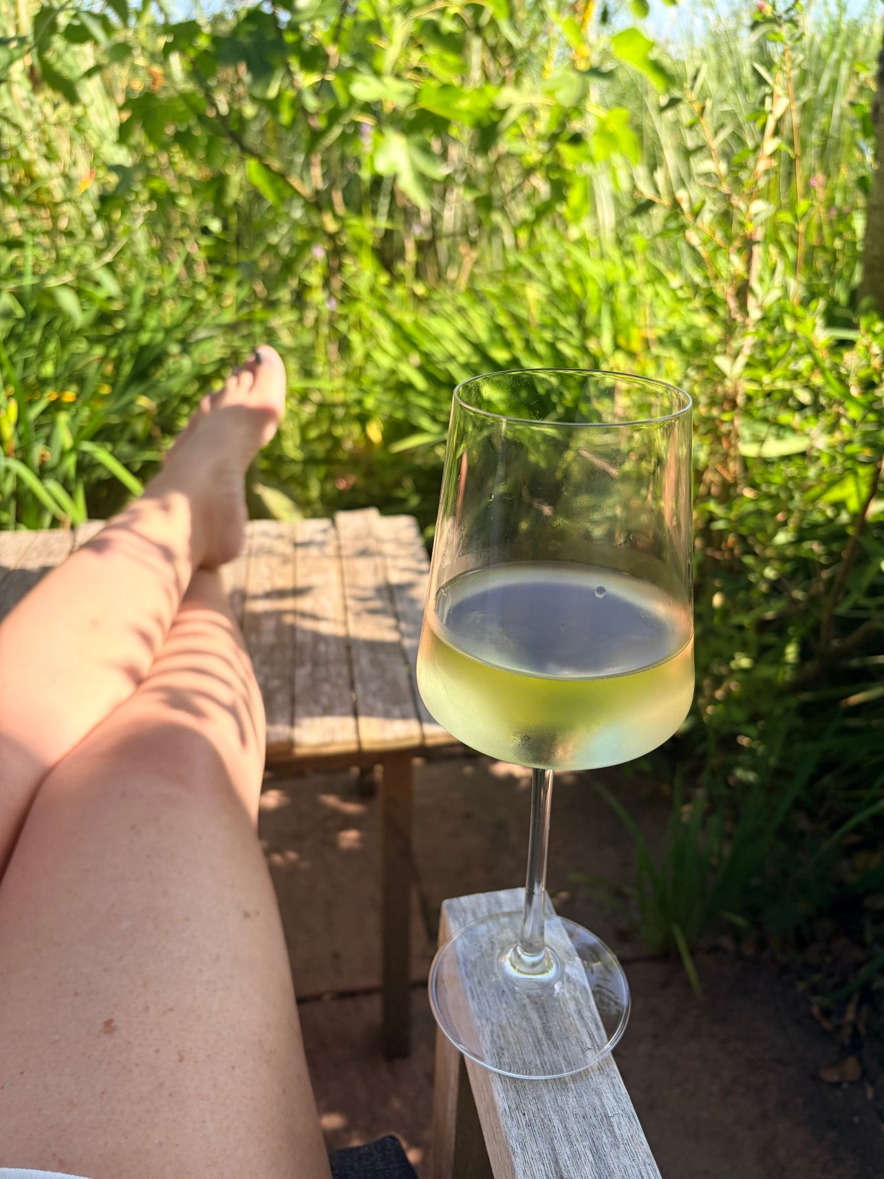 哈泽拉尔别墅酒店-旅行者
