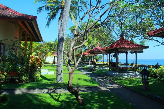 Aditya Beach Resorts and Spa Lovina-官方