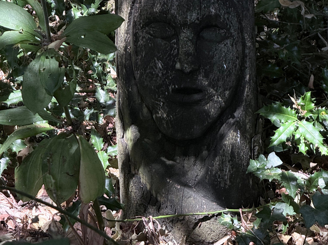 Coton Manor Gardens-北安普敦必去景点