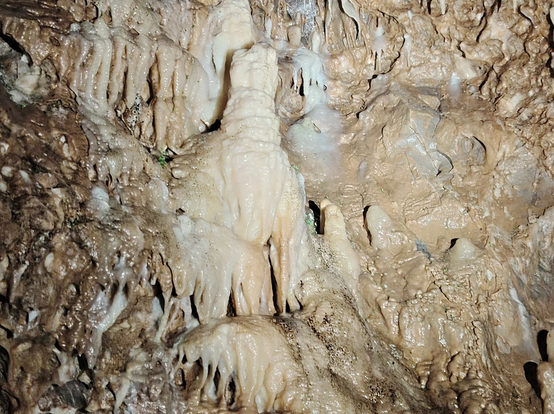 Grotte De Dinant La Merveilleuse-迪南必去景点