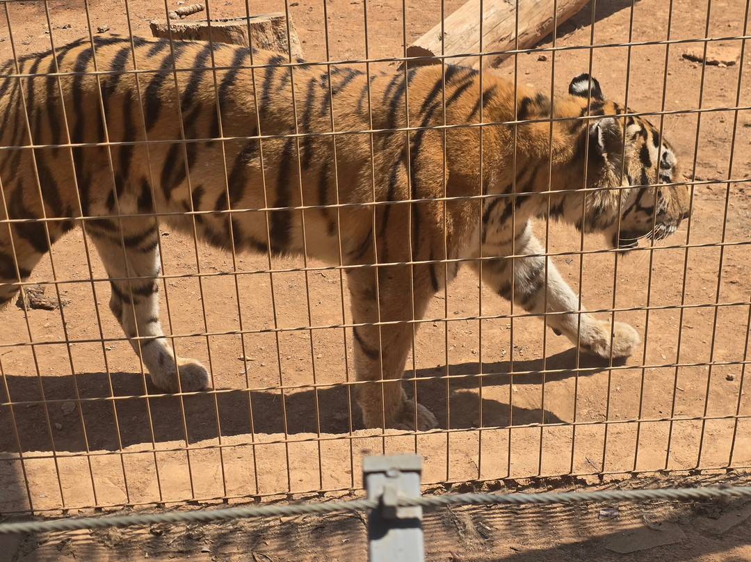 Pafos Zoo-帕福斯必去景点