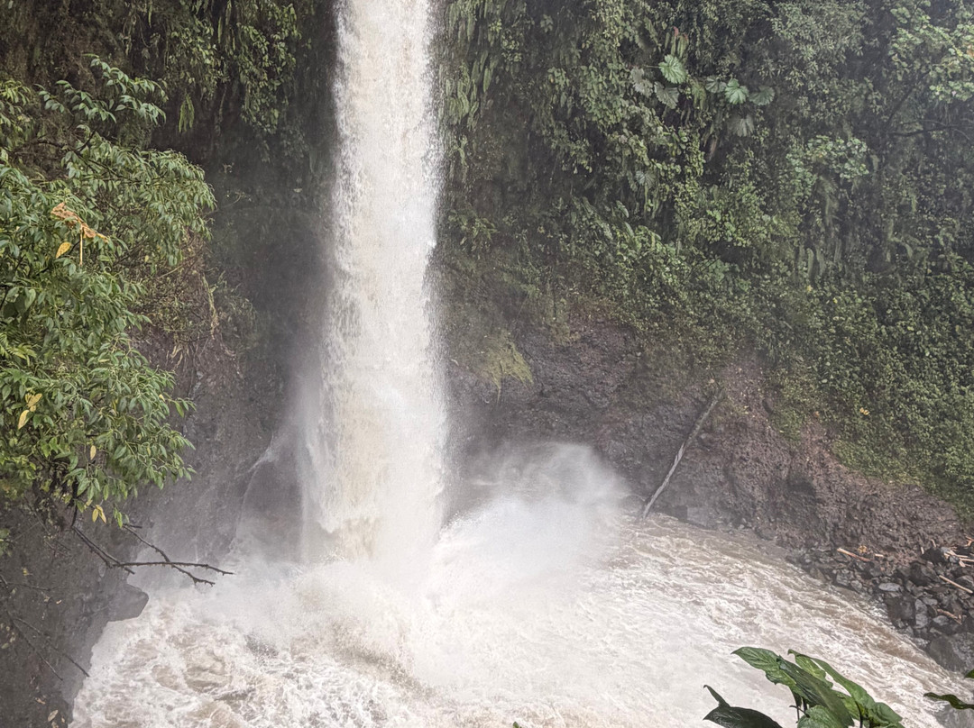 Costa Rica Driver - Tours-圣何塞必去景点