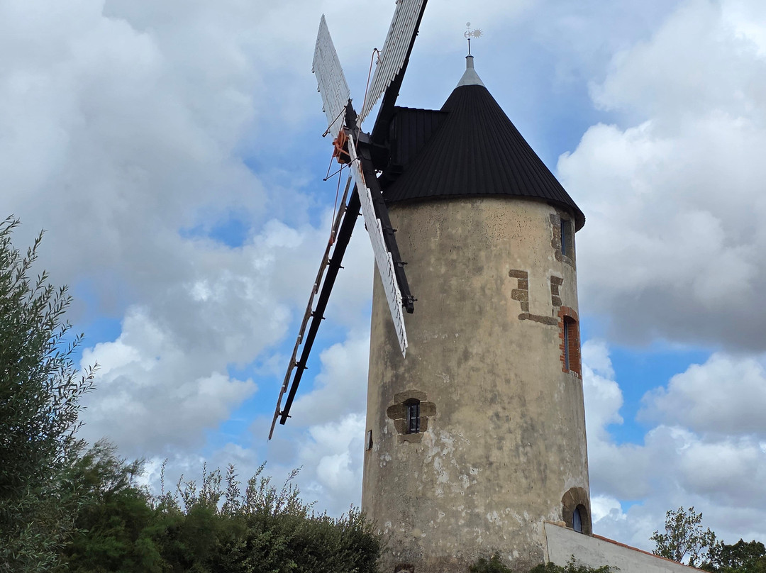 Le Moulin à Vent de Rairé-Sallertaine必去景点