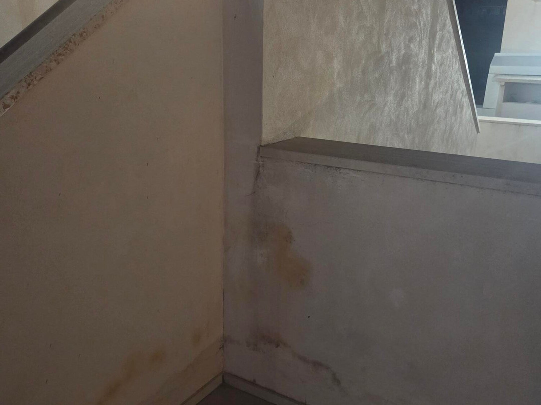 托雷德伯波尼酒店主图