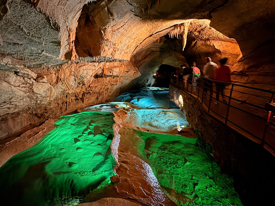 Grotte de la Cocalière-Courry必去景点