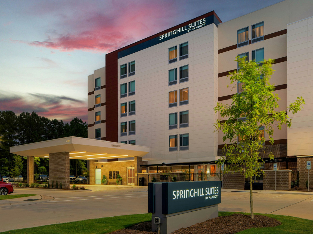 Holly Springs酒店住宿-SpringHill Suites by Marriott Raleigh Apex