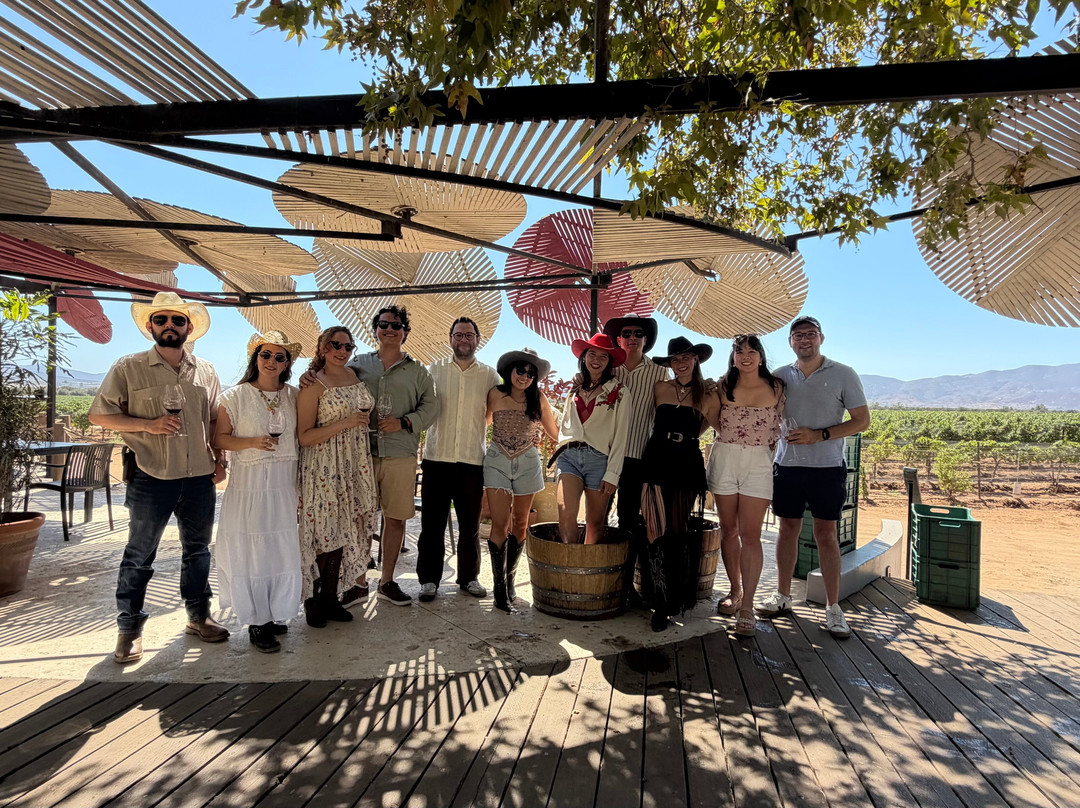 Monte Xanic Bodega Vinícola-Valle de Guadalupe必去景点