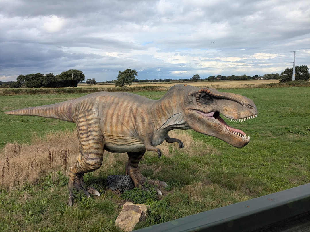 Farmer Teds Adventure Farm-Ormskirk必去景点