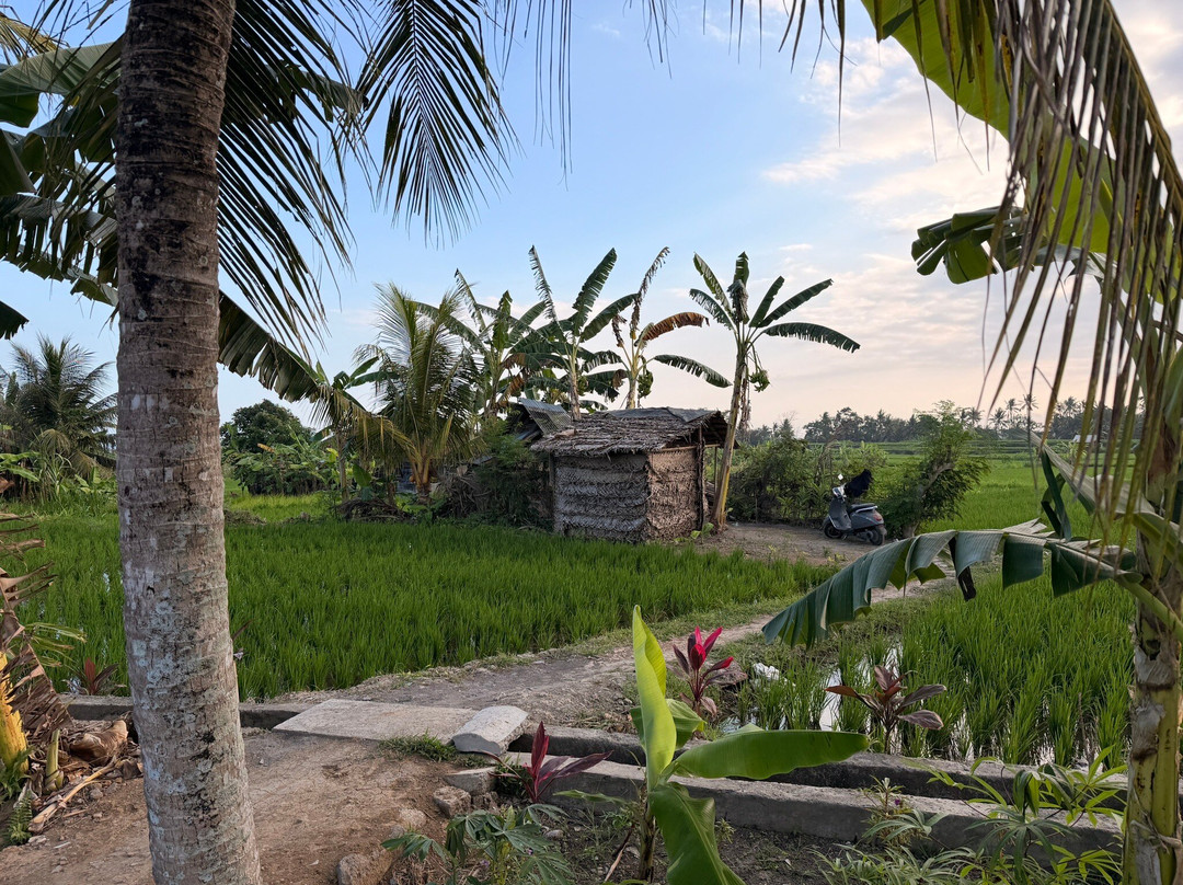 Happy Local adventure-Medahan必去景点