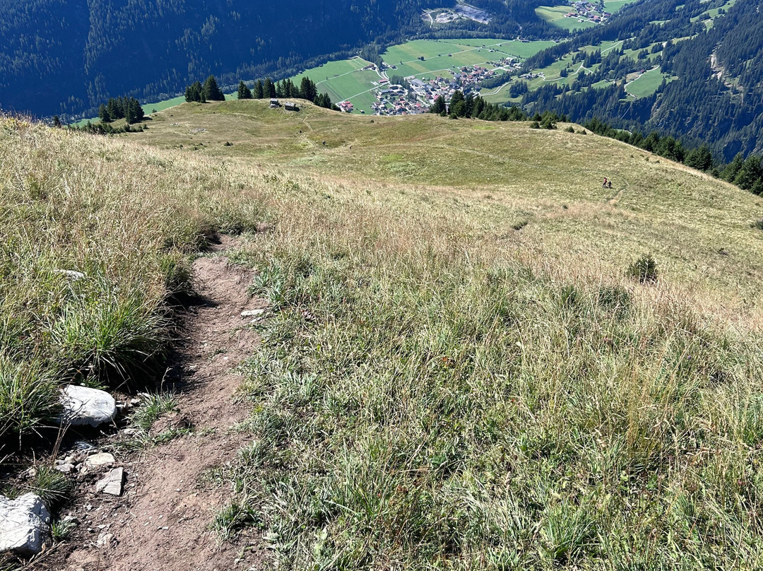 Gasthof Alpenhof主图