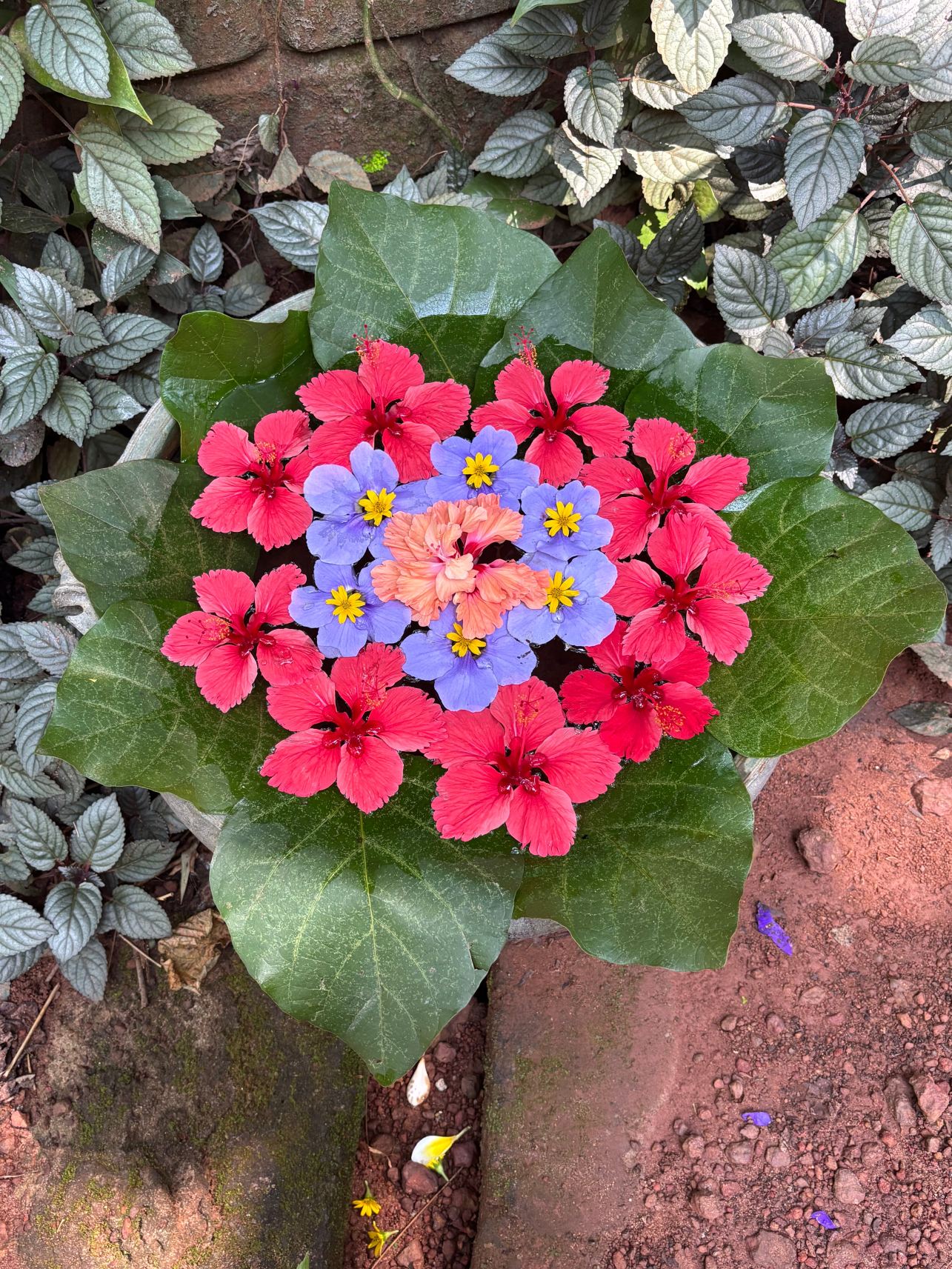 Sarovaram Ayurvedic Backwater Health Centre-旅行者