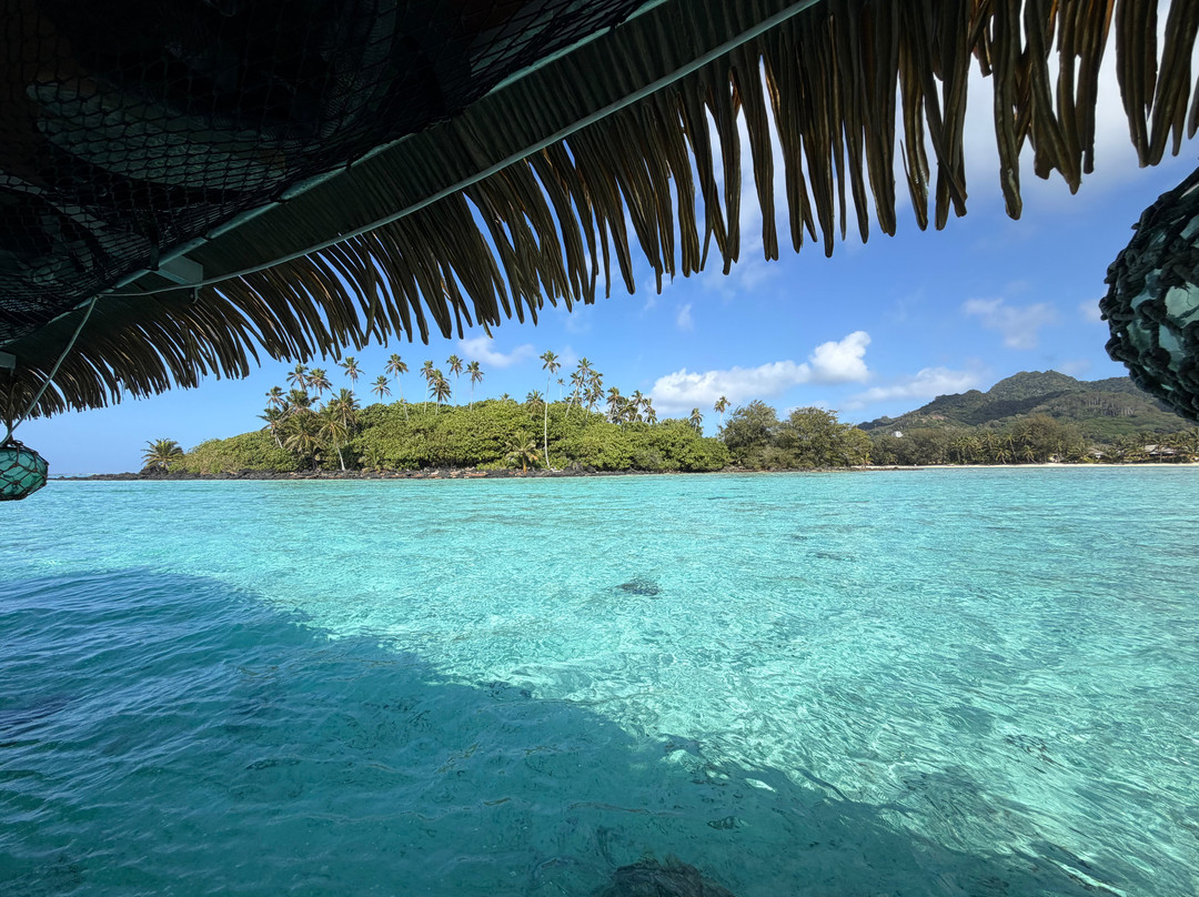 Koka Lagoon Cruises-穆里必去景点
