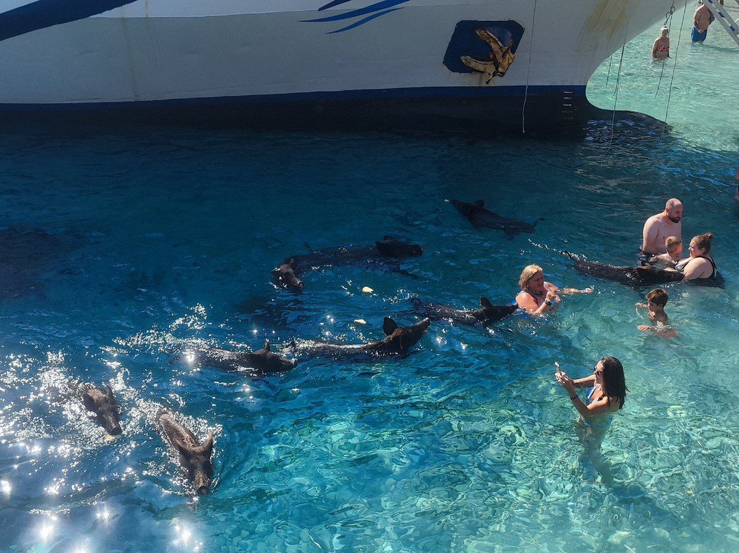 Nidri Star Cruises-Ellomenos必去景点