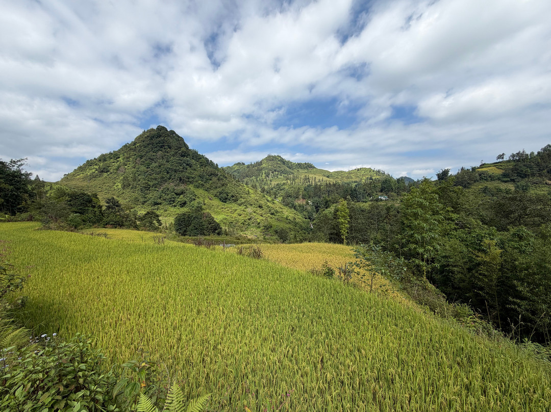 Bac Ha Discovery Trek-Bac Ha必去景点