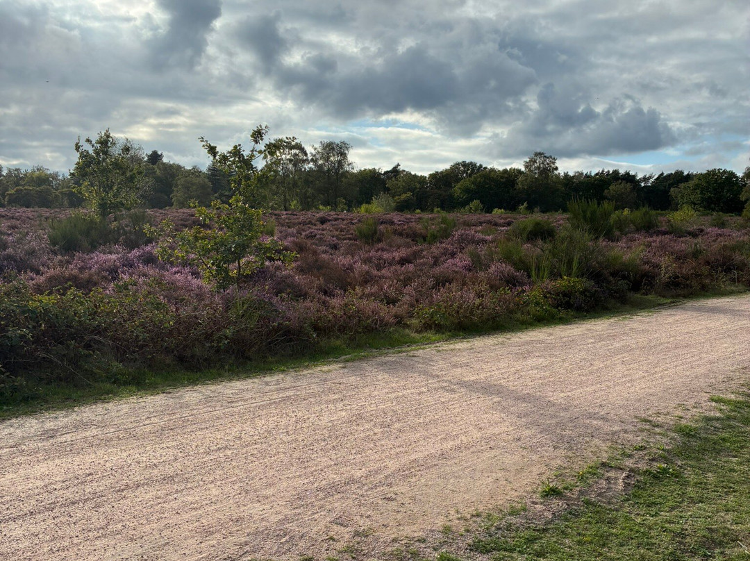 De Leeuwenkuil
