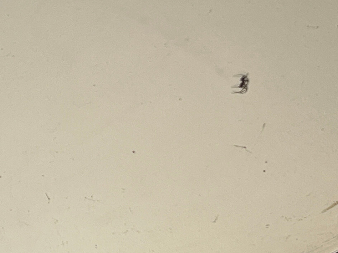 旧公寓多美洛酒店主图