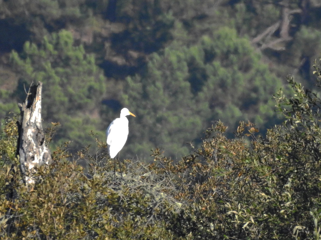 Percurso Salgueiral of Galicia Reserve-Santiago do Cacem必去景点