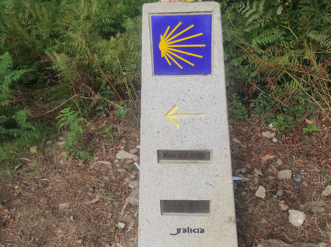 Viajeros Canallas-Villaviciosa de Odon必去景点