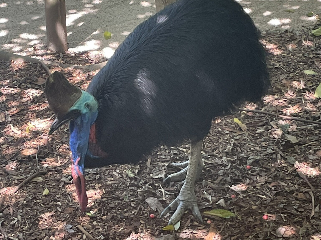 Wildlife Habitat Port Douglas-道格拉斯港必去景点