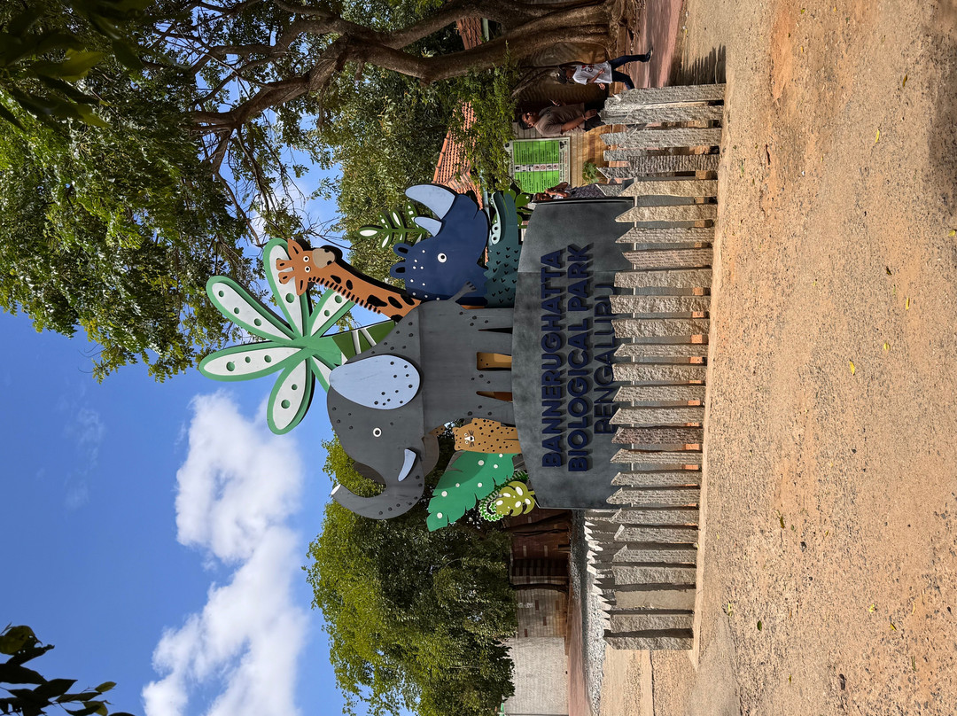 Bannerughatta Biological Park-班加罗尔必去景点