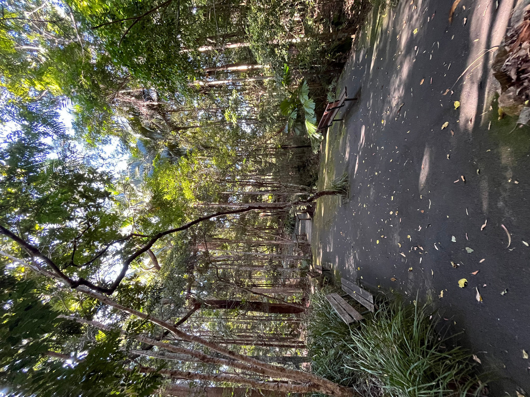 Noosa Botanic Gardens-Cooroy必去景点
