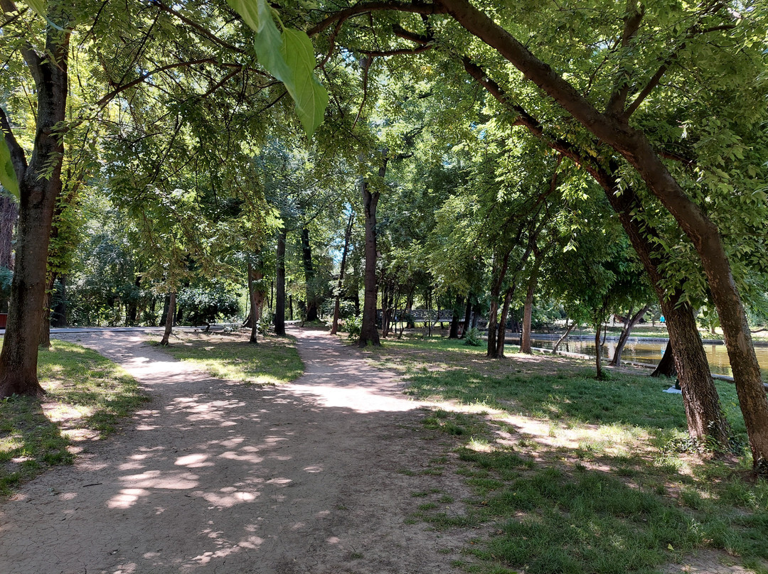 Cismigiu Parc-布加勒斯特必去景点