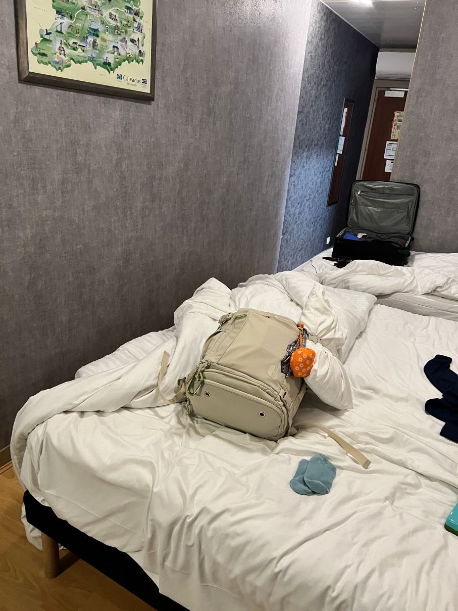 巴约酒店-旅行者