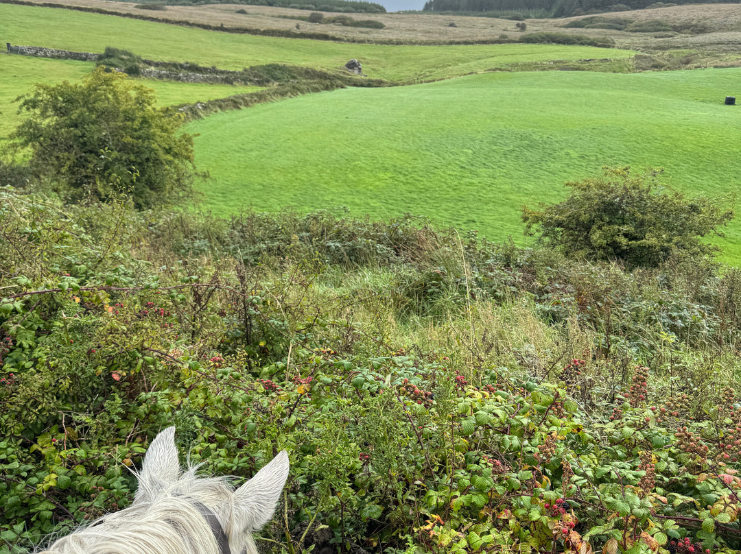 Mountain View Horse Riding Centre-Lisdoonvarna必去景点