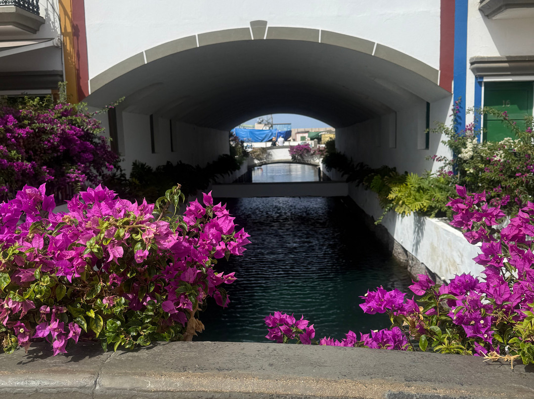 Puerto De Mogán-莫干港必去景点