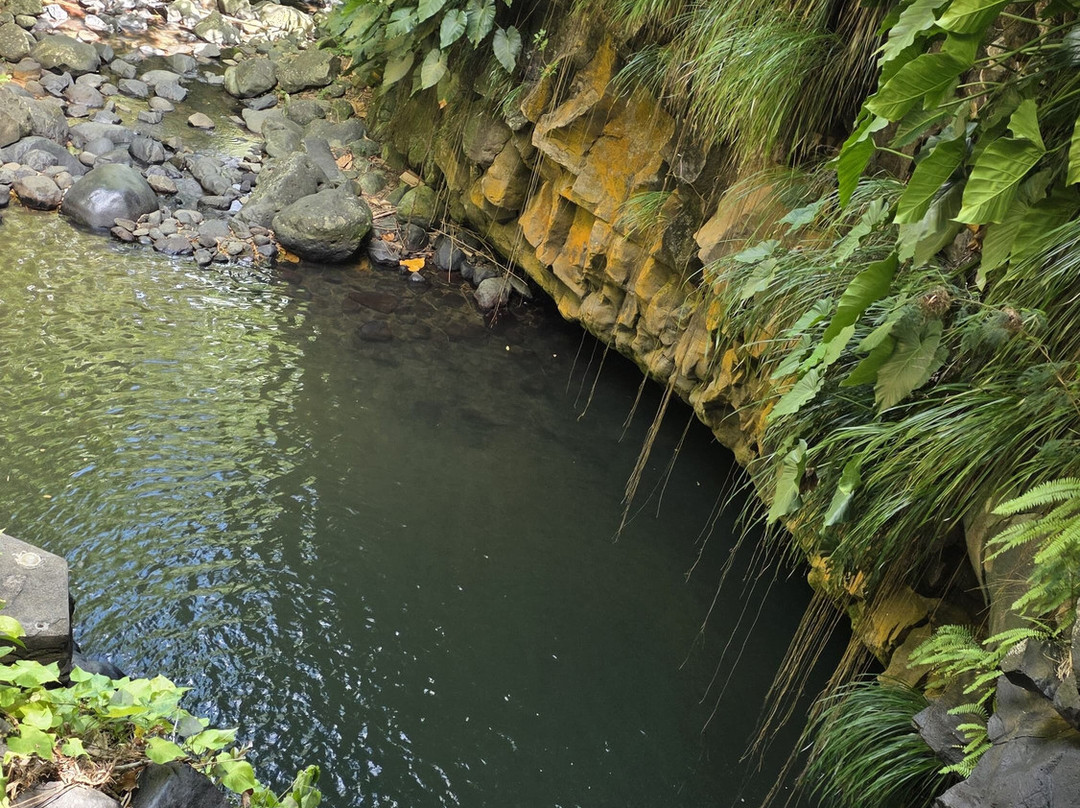 Annandale Falls-St. George's必去景点