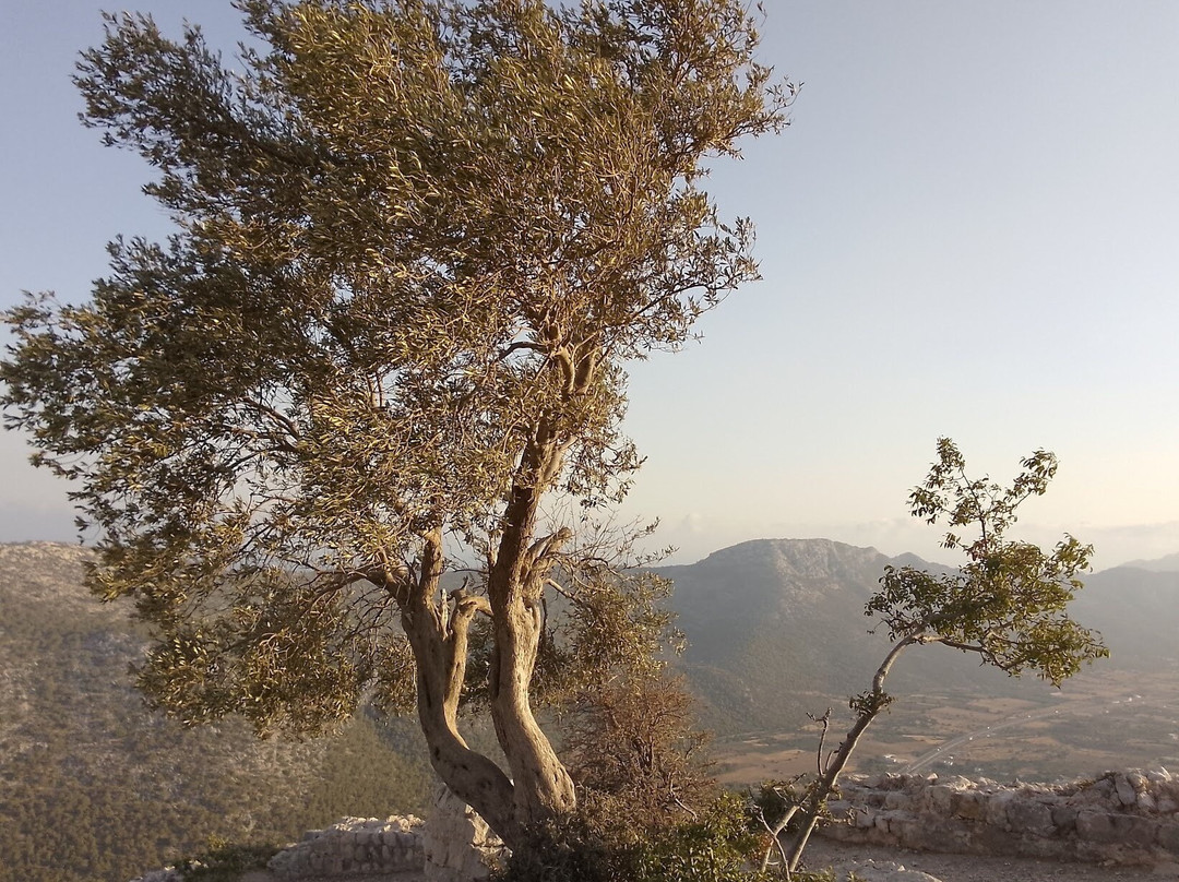 Tokmar Kalesi