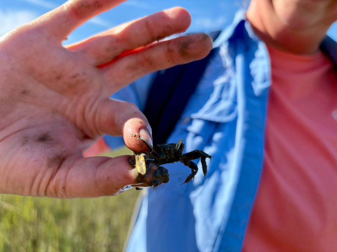 Tybee Island Marine Science Center-泰碧岛必去景点