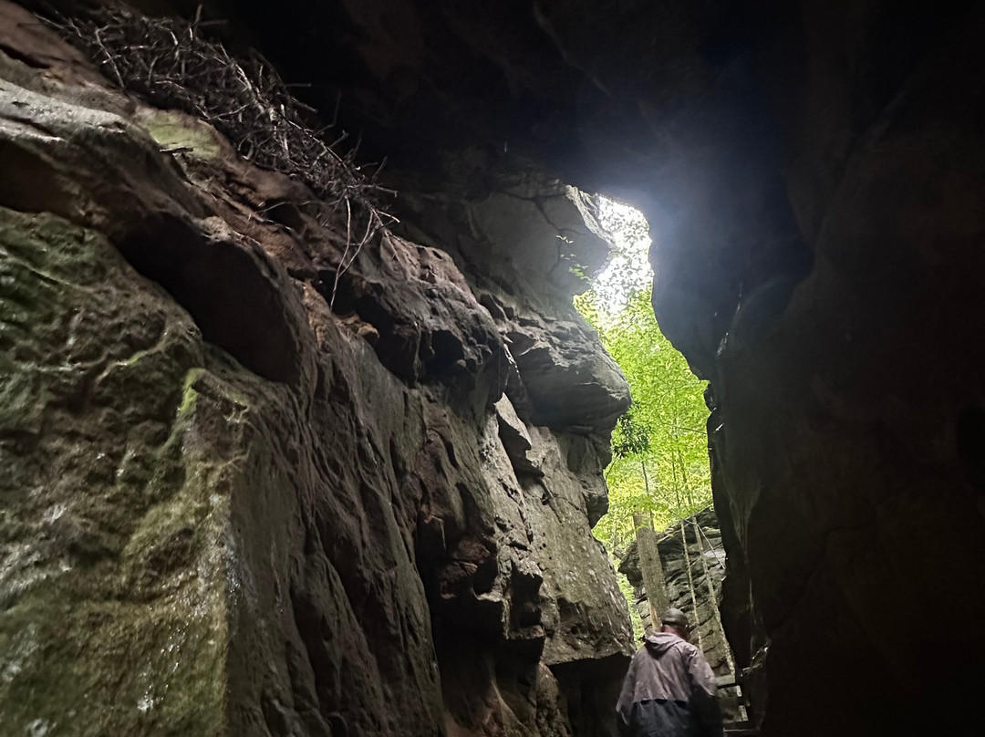 Beartown State Park-Renick必去景点