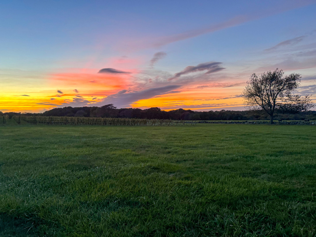 Sakonnet Vineyard-Little Compton必去景点