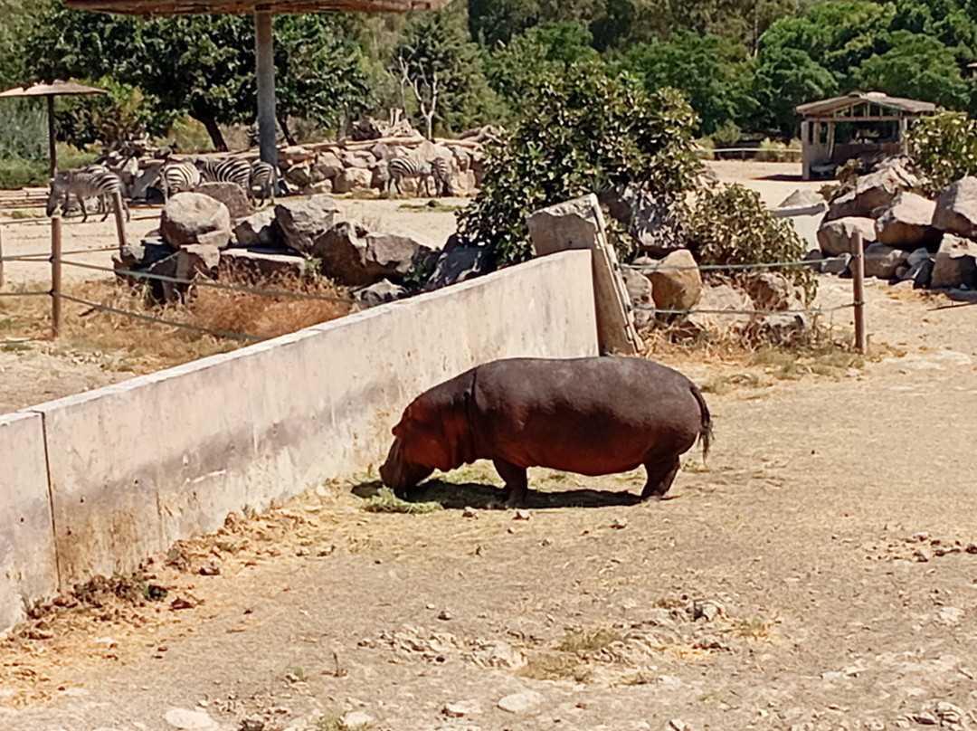 Izmir Wild Life Park-伊兹密尔必去景点