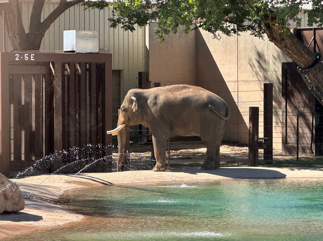 ABQ BioPark Zoo-阿尔伯克基必去景点