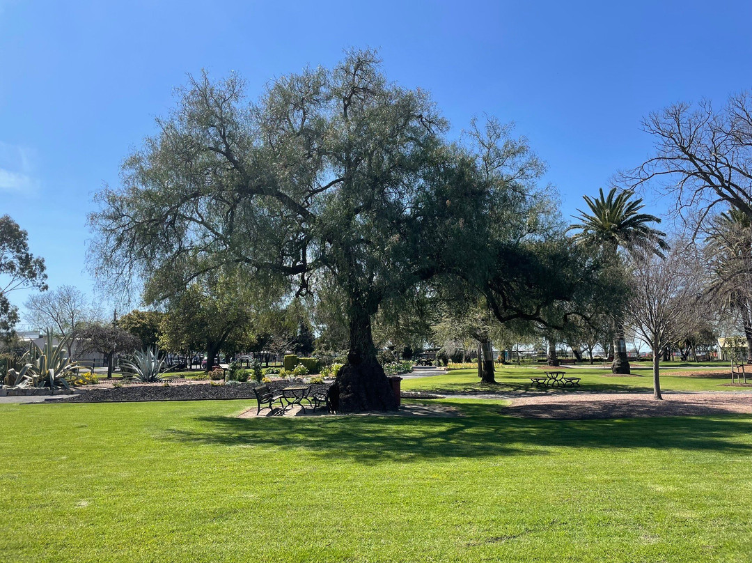 Horsham Botanical Gardens-霍舌姆必去景点