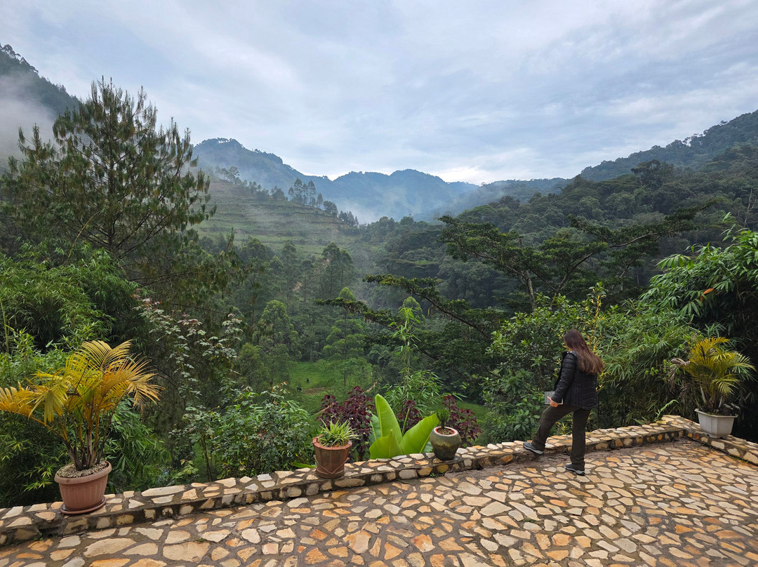 Bweza Gorilla Lodge