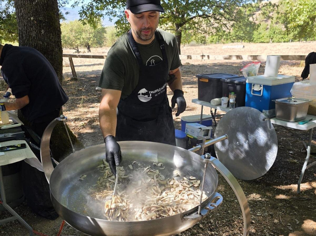 Truffle Hunting-卡兰巴卡必去景点
