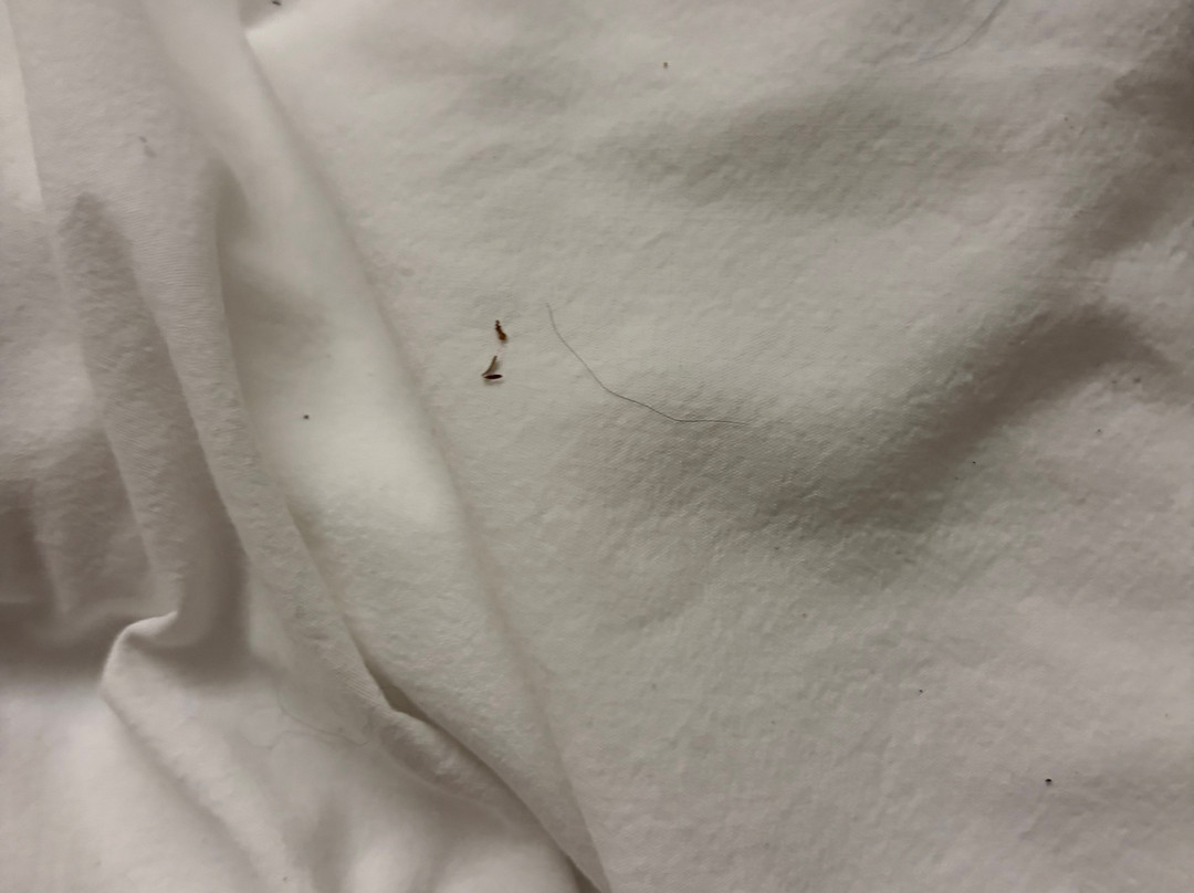 哥伦布韦斯特维尔雅乐轩酒店主图