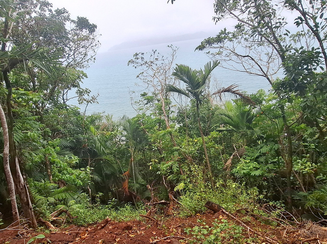 Kennedy Walking Track-Mission Beach必去景点