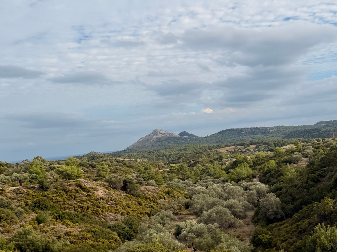Rhodes Buggy Safari....more than an adventure-科林比亚必去景点