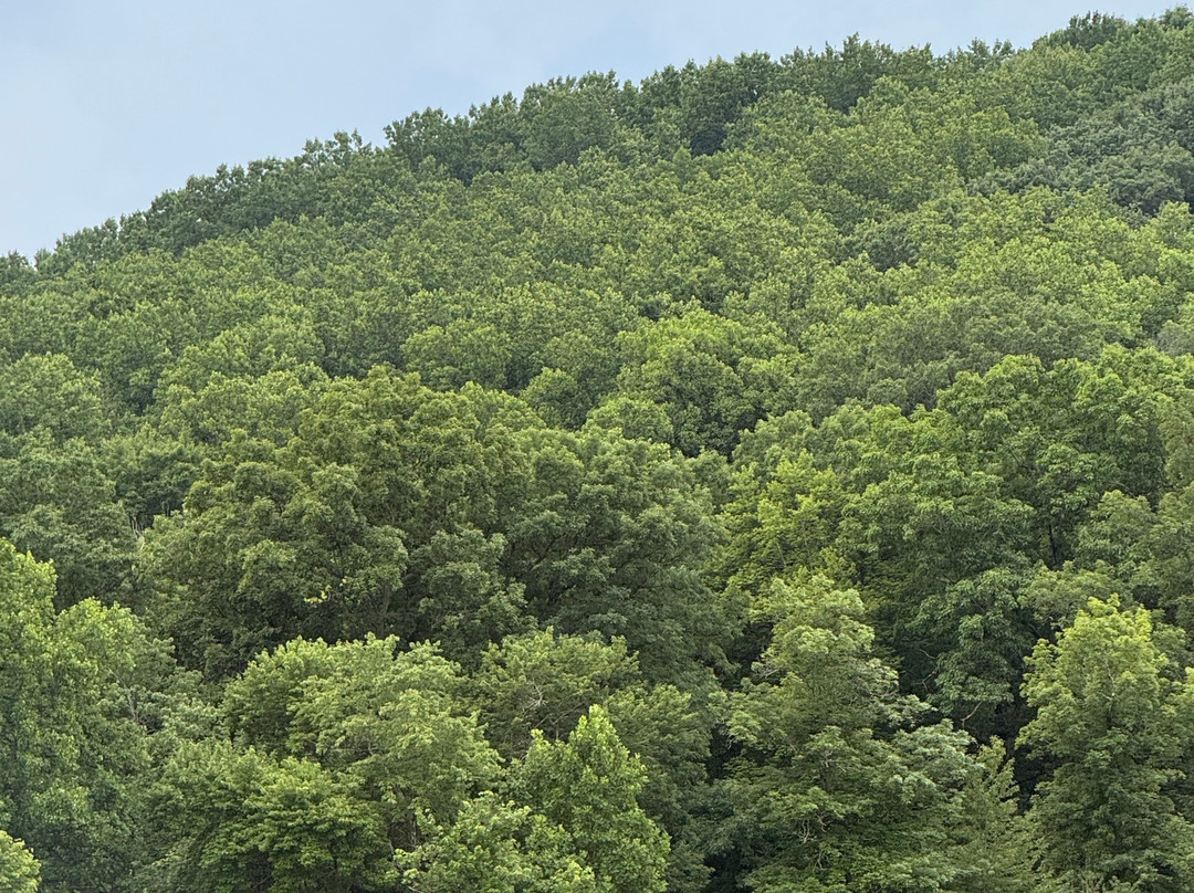 Keystone State Park-Derry必去景点