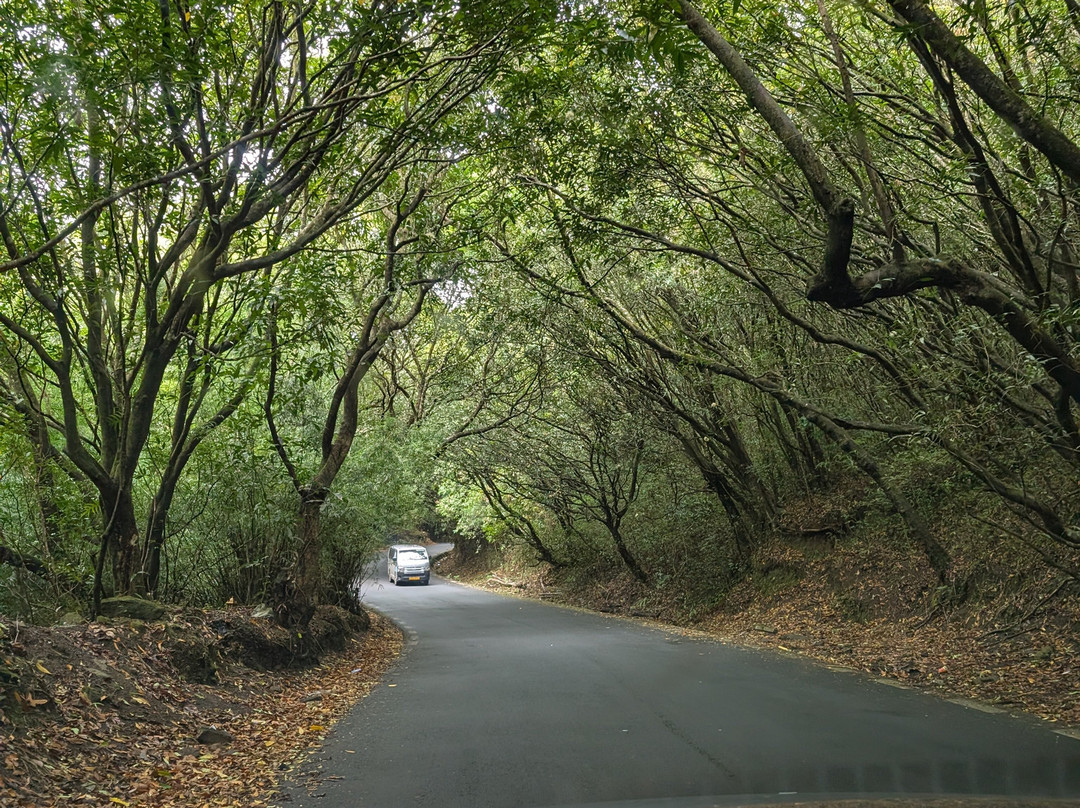 Nature Trails Mauritius-卡特勒博尔纳必去景点