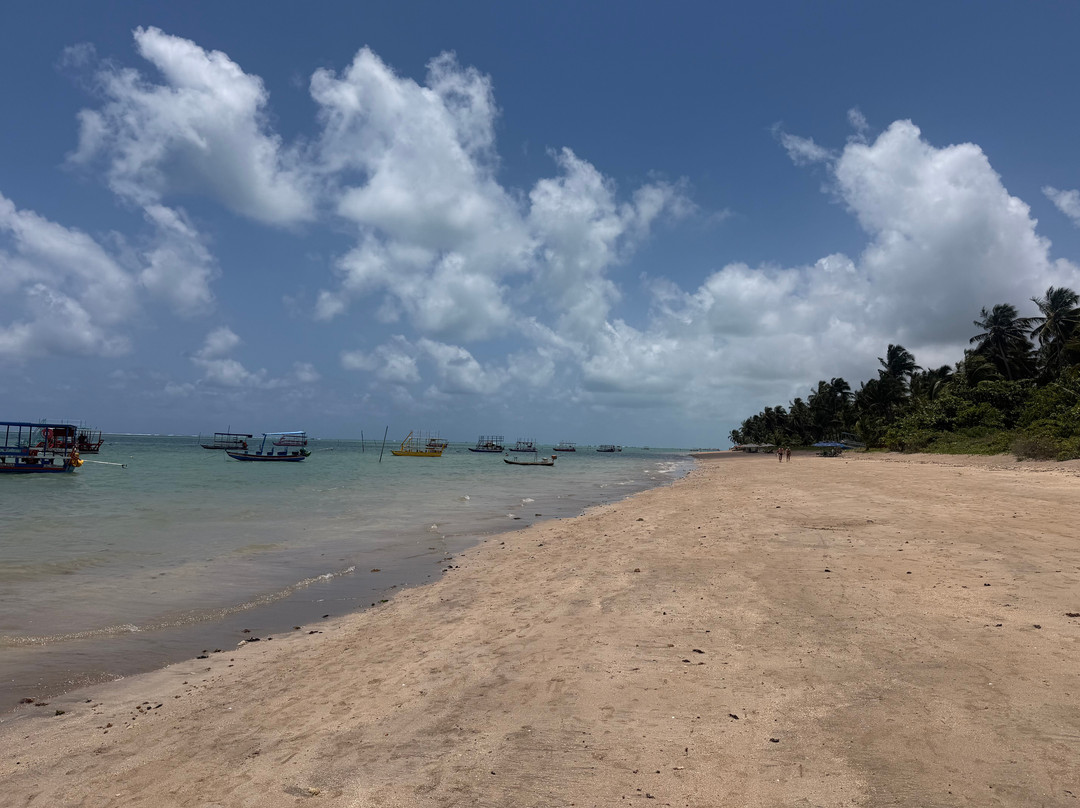 Patacho Beach-Porto de Pedras必去景点