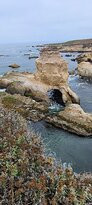 Los Osos Oaks State Reserve景点图片
