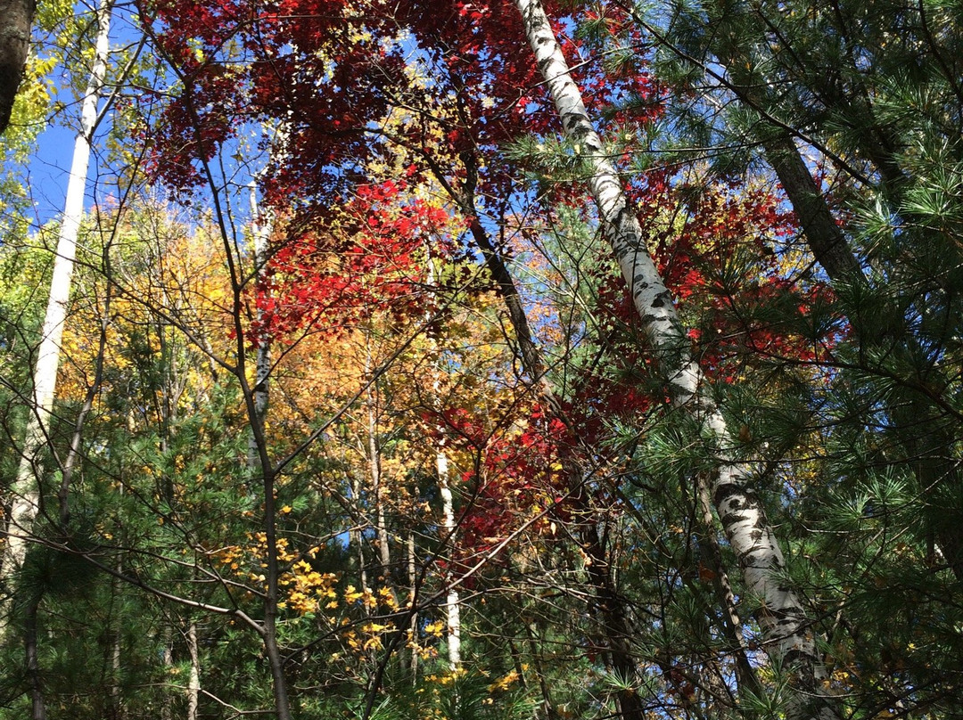 宁安火山口国家森林公园-牡丹江市必去景点
